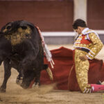 Madrid - Novillada nocturna - Viernes 3 de agosto de 2018