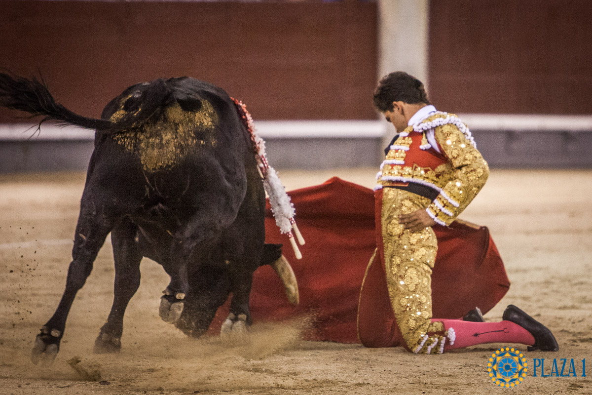 Madrid - Novillada nocturna - Viernes 3 de agosto de 2018