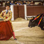 Madrid - Novillada nocturna - Viernes 3 de agosto de 2018