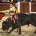 Madrid - Novillada nocturna - Viernes 3 de agosto de 2018