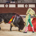 Madrid - Novillada nocturna - Viernes 3 de agosto de 2018
