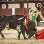 Madrid - Novillada nocturna - Viernes 3 de agosto de 2018