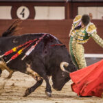 Madrid - Novillada nocturna - Viernes 3 de agosto de 2018