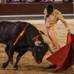 Madrid, 10 de agosto de 2018