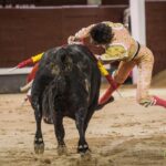 Madrid, 10 de agosto de 2018