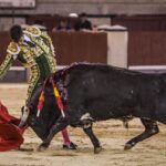 Madrid, 10 de agosto de 2018