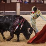 Madrid, 10 de agosto de 2018