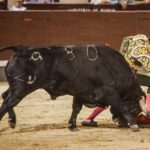 Madrid, 10 de agosto de 2018