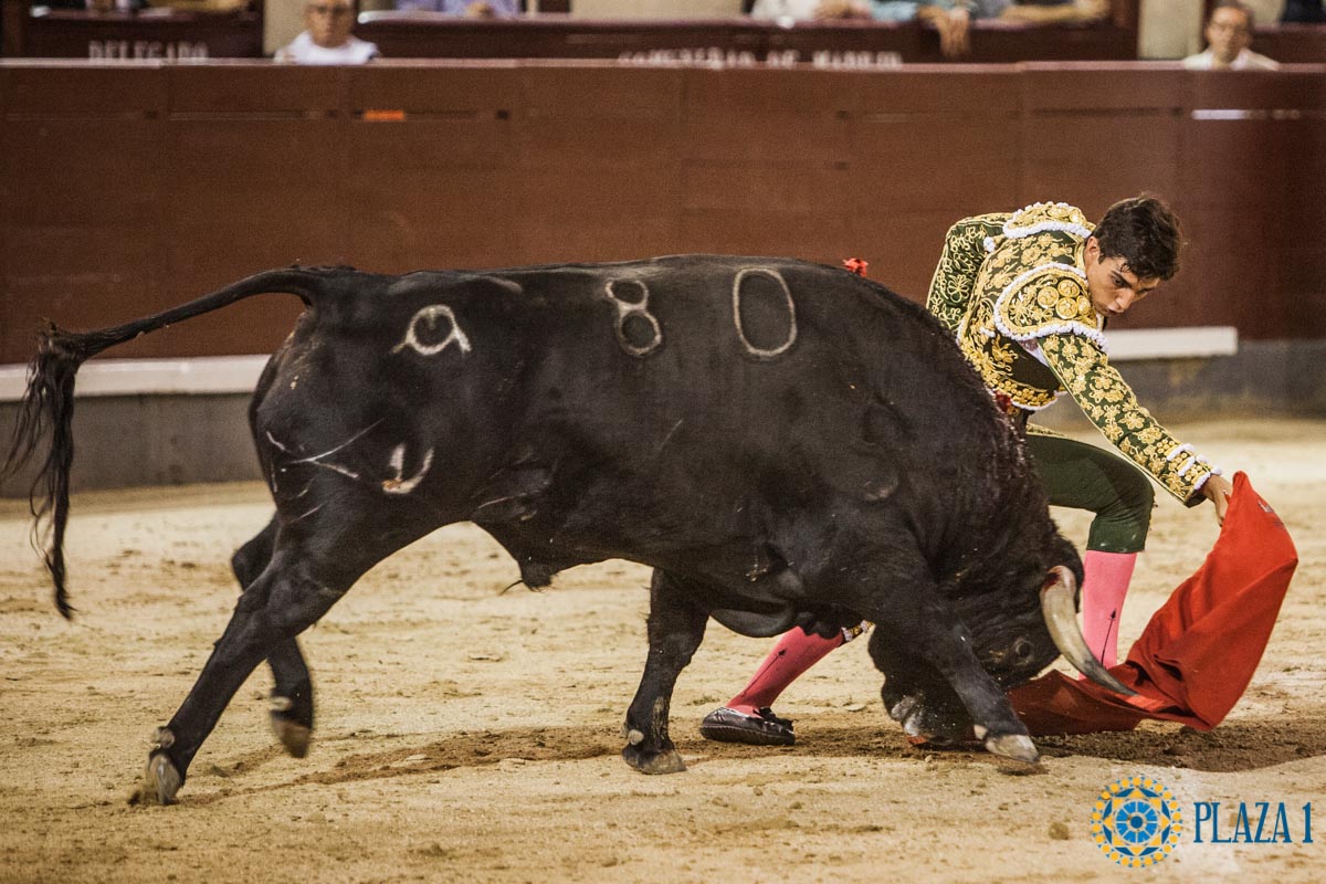 Madrid, 10 de agosto de 2018