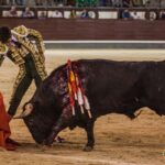 Madrid, 10 de agosto de 2018