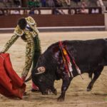 Madrid, 10 de agosto de 2018