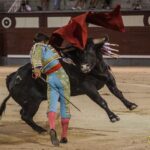 Madrid, 10 de agosto de 2018