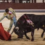 Madrid, 10 de agosto de 2018