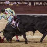 Madrid, 10 de agosto de 2018