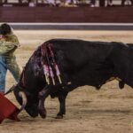 Madrid, 10 de agosto de 2018