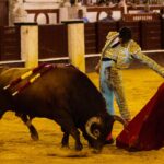 Málaga, 17 de agosto de 2018