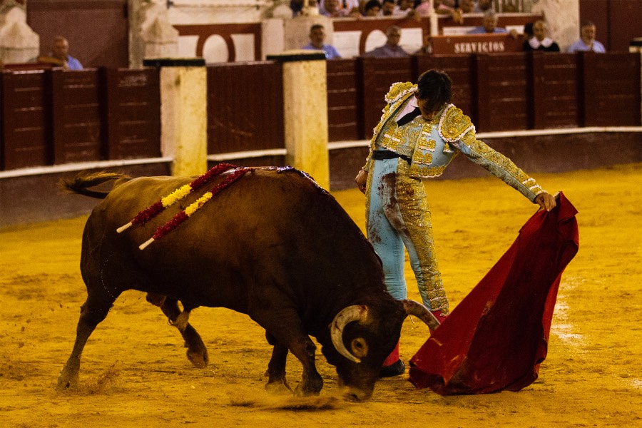 Málaga, 17 de agosto de 2018
