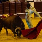 Málaga, 17 de agosto de 2018