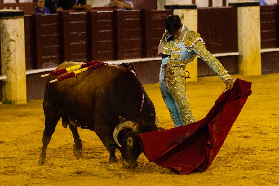 Málaga, 17 de agosto de 2018
