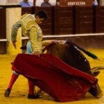 Málaga, 17 de agosto de 2018