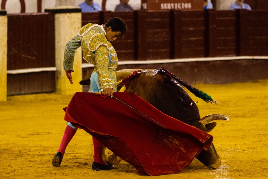 Málaga, 17 de agosto de 2018