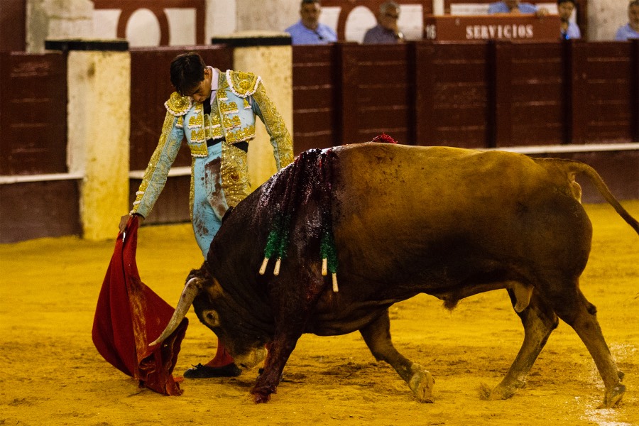 Málaga, 17 de agosto de 2018