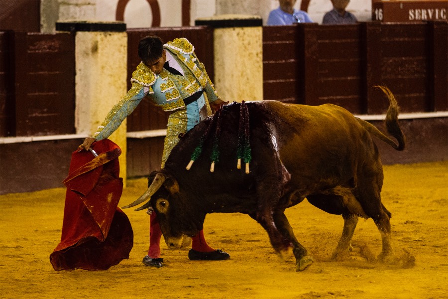 Málaga, 17 de agosto de 2018