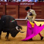 Málaga, 18 de agosto de 2018