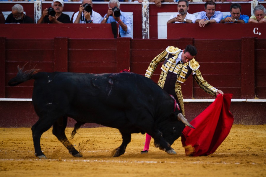 Málaga, 18 de agosto de 2018