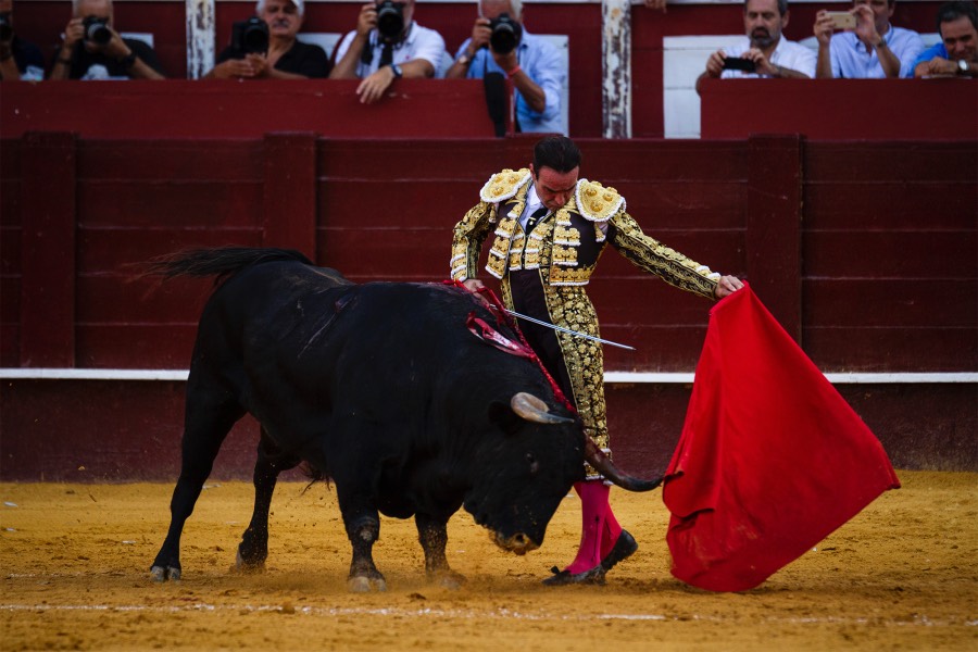 Málaga, 18 de agosto de 2018