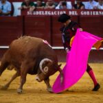 Málaga, 18 de agosto de 2018