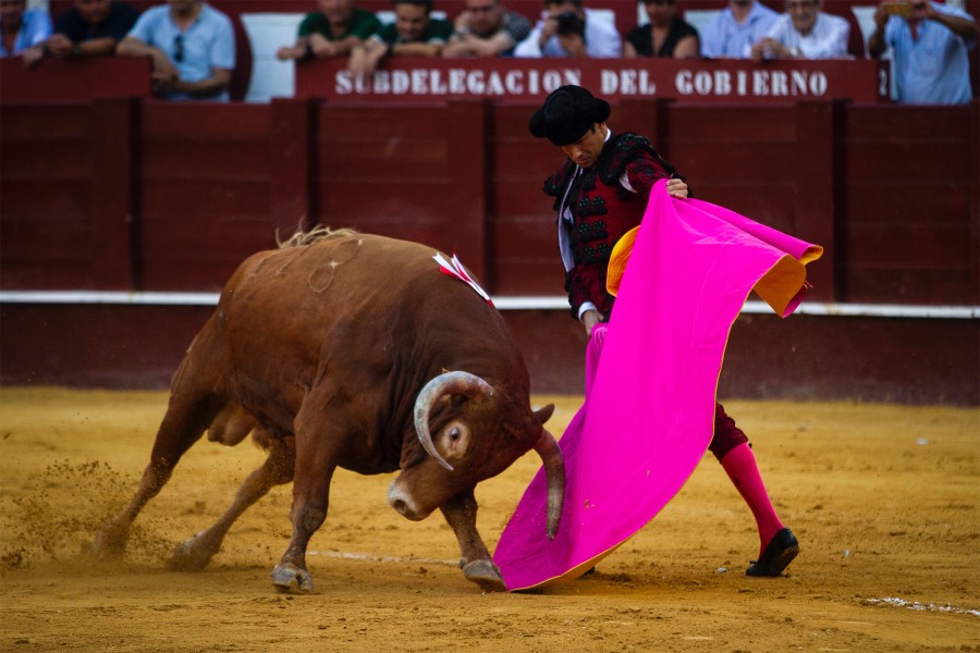 Málaga, 18 de agosto de 2018