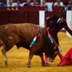 Málaga, 18 de agosto de 2018