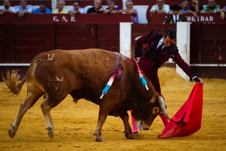 Málaga, 18 de agosto de 2018