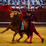 Málaga, 18 de agosto de 2018