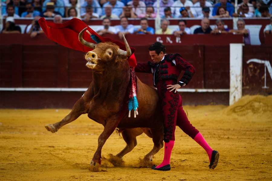 Málaga, 18 de agosto de 2018