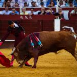 Málaga, 18 de agosto de 2018