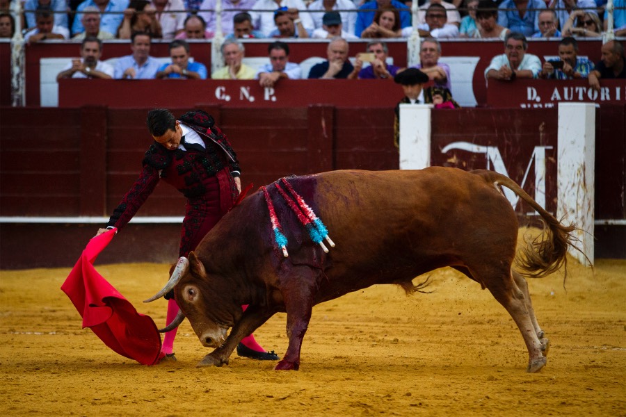 Málaga, 18 de agosto de 2018