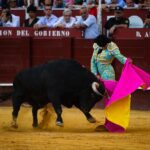 Málaga, 18 de agosto de 2018