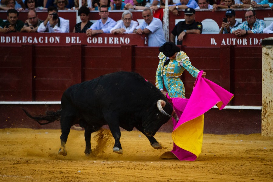 Málaga, 18 de agosto de 2018