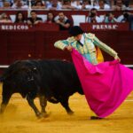 Málaga, 18 de agosto de 2018