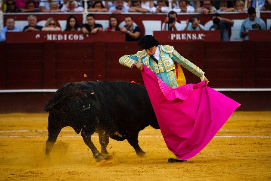Málaga, 18 de agosto de 2018