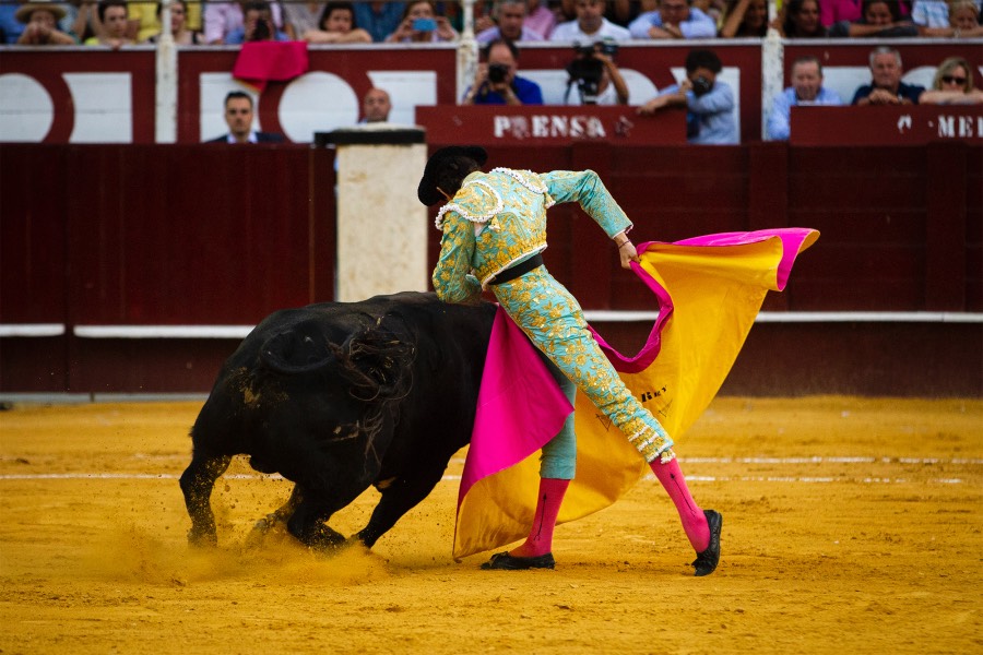Málaga, 18 de agosto de 2018