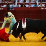 Málaga, 18 de agosto de 2018