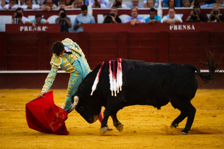 Málaga, 18 de agosto de 2018
