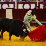 Málaga, 18 de agosto de 2018