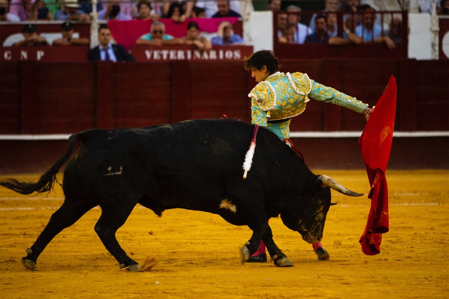 Málaga, 18 de agosto de 2018