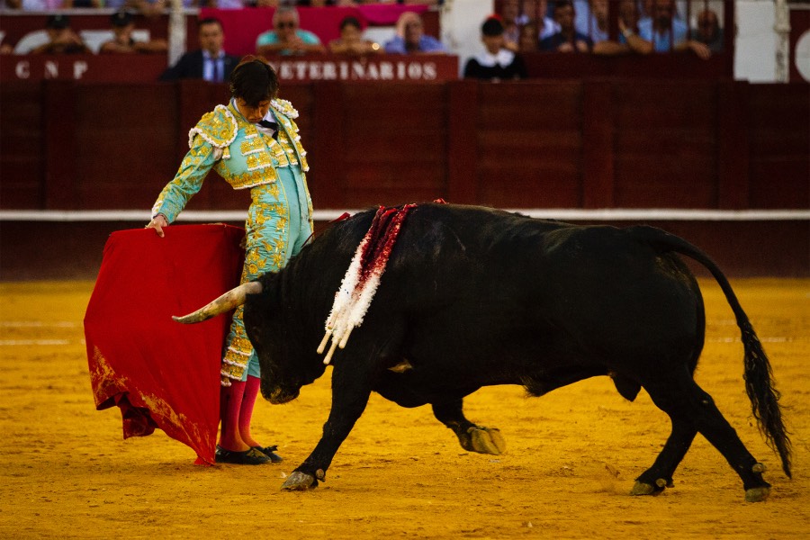 Málaga, 18 de agosto de 2018
