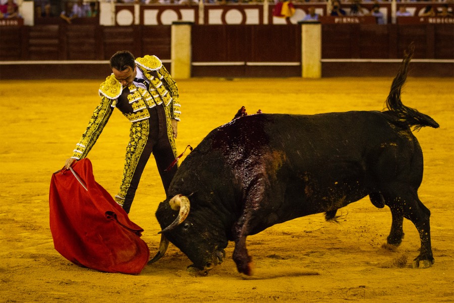 Málaga, 18 de agosto de 2018
