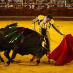 Málaga, 18 de agosto de 2018